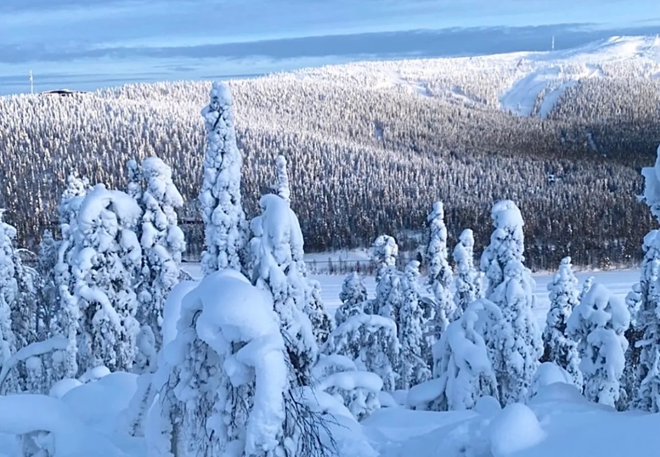 Winterlandschaft in Lappland